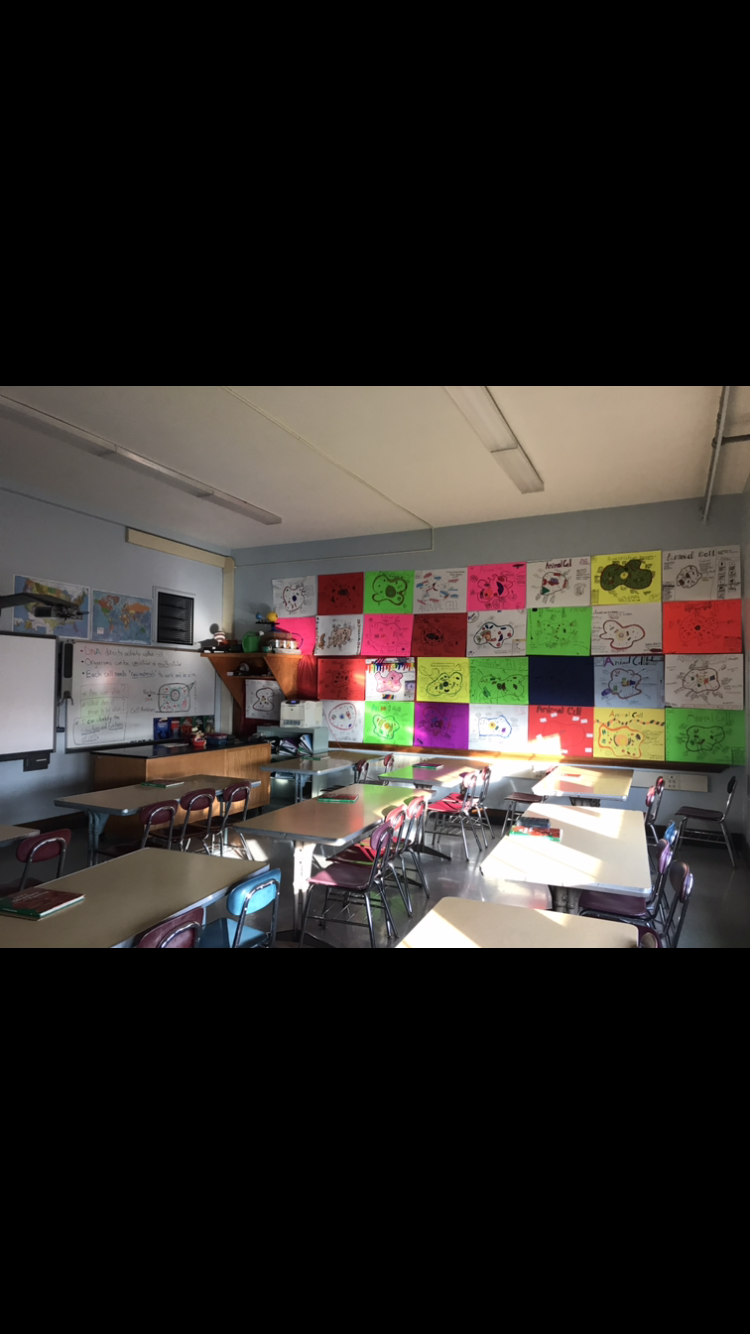 Cell Projects 